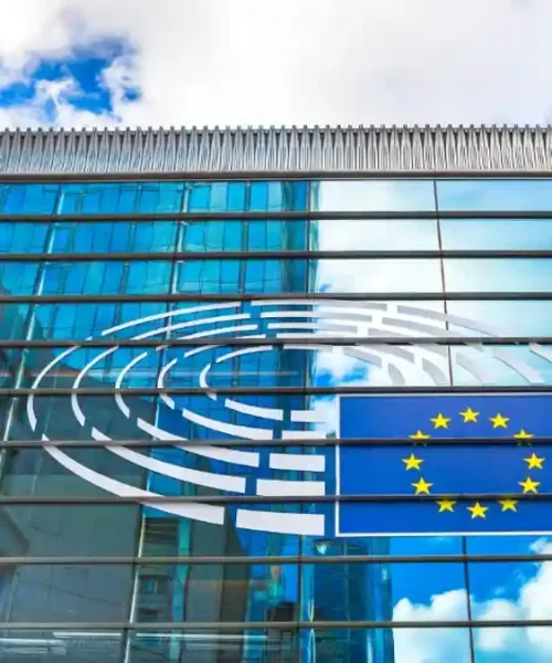 ESG simplification rules